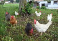 _changed => 05.01.2021 um 15:52 Uhr