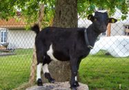 _changed => 16.04.2024 um 11:21 Uhr