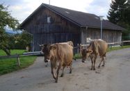 _changed => 04.03.2020 um 08:37 Uhr