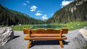 A beautiful bench by the shore of a clear lake. Behind the bench, you can see green forests and a blue sky.
