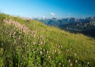 Tourismus Hörnerdörfer, K.P. Kappest