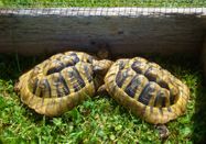 _changed => 16.04.2024 um 11:20 Uhr