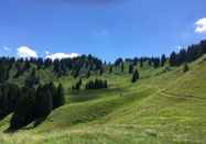 Tourismus Hörnerdörfer GmbH