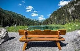 A beautiful bench by the shore of a clear lake. Behind the bench, you can see green forests and a blue sky.