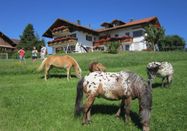 _changed => 11.06.2018 um 22:25 Uhr