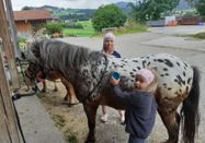 _changed => 28.02.2026 um 17:12 Uhr