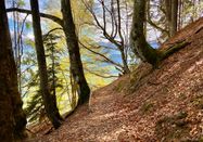 Tourismus Hörnerdörfer GmbH