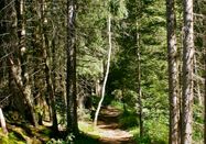 Tourismus Hörnerdörfer, MA