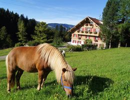 A brown horse grazes on a green meadow. In the background, a picturesque building and forests can be seen.