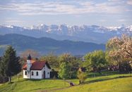 Scheidegg-Tourismus, Thomas-Gretler