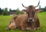 _changed => 05.01.2021 um 15:53 Uhr