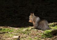 Tourismus Hörnerdörfer, K.P. Kappest