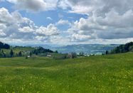 Oberstaufen Tourismus Marketing GmbH