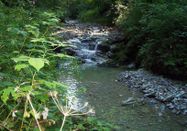 Landkreis Lindau (Bodensee)