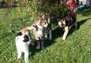 _changed => 28.02.2026 um 17:12 Uhr