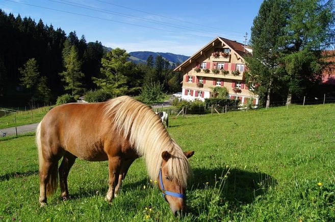 A brown horse grazes on a green meadow. In the background, a picturesque building and forests can be seen.