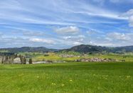 Oberstaufen Tourismus Marketing GmbH