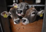 _changed => 28.02.2026 um 17:12 Uhr