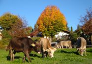 _changed => 04.03.2020 um 08:37 Uhr