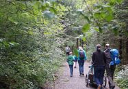 Tourismus Hörnerdörfer