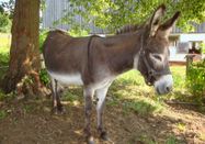 _changed => 04.03.2020 um 08:38 Uhr