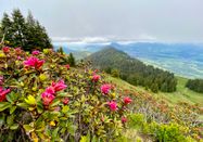 Tourismus Hörnerdörfer GmbH