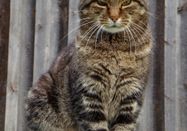 _changed => 16.04.2024 um 11:20 Uhr