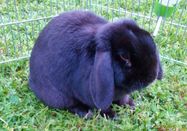 _changed => 16.04.2024 um 11:21 Uhr