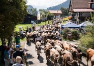 Tourismus Hörnerdörfer - F. Kjer