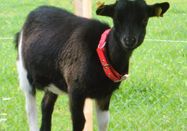 _changed => 16.04.2024 um 11:21 Uhr