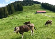 Tourismus Hörnerdörfer GmbH