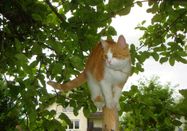 _changed => 16.04.2024 um 11:21 Uhr