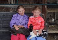 _changed => 28.02.2026 um 17:12 Uhr